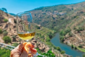 From Porto: Small Group Douro Valley Tour with Wine & Cruise