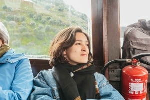 From Porto: Small Group Douro Valley Tour with Wine & Cruise