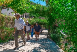 From Porto: Small Group Douro Valley Tour with Wine & Cruise