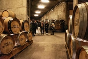 From Porto: Small Group Douro Valley Tour with Wine & Cruise