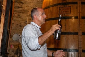 From Porto: Small Group Douro Valley Tour with Wine & Cruise