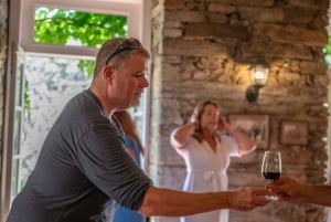 From Porto: Small Group Douro Valley Tour with Wine & Cruise