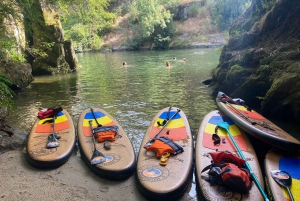 Do Porto: Passeio de SUP no Rio Paiva com traslado