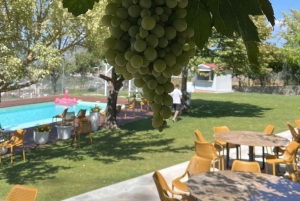 Ab Porto: Verkostungen in 2 Weingütern, Mittagessen vom Chefkoch & Bootstour