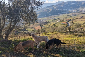 Ab Porto: Verkostungen in 2 Weingütern, Mittagessen vom Chefkoch & Bootstour