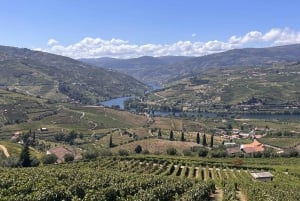 Ab Porto: Verkostungen in 2 Weingütern, Mittagessen vom Chefkoch & Bootstour