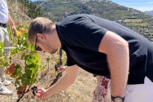 Ab Porto: Verkostungen in 2 Weingütern, Mittagessen vom Chefkoch & Bootstour