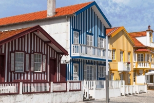 Z Porto do Aveiro: rejs, ptaki, saliny, Costa Nova i Vista Alegre