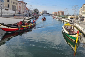 Z Porto do Aveiro: rejs, ptaki, saliny, Costa Nova i Vista Alegre
