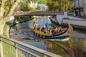 Von Porto aus: Transfer nach Lissabon mit Stopps bis zu 3 Städten