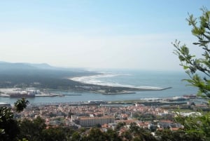 From Porto: Viana Castelo and Ponte Lima Private Tour