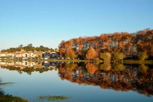 From Porto: Viana Castelo and Ponte Lima Private Tour