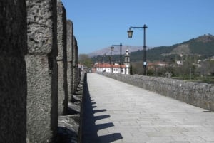 From Porto: Viana Castelo and Ponte Lima Private Tour