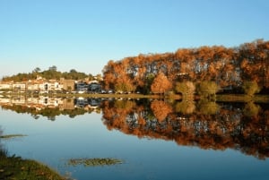 From Porto: Viana Castelo and Ponte Lima Private Tour