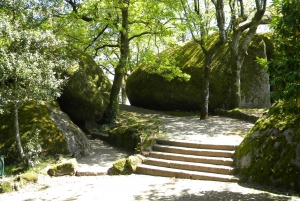 Au départ de Porto : Excursion privée d'une journée aux merveilles de Braga et Guimarães