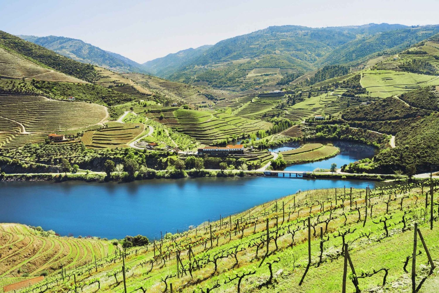 Da Porto: tour enologico nella Valle del Douro con pranzo e crociera fluviale
