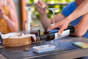 ポルト発：ドウロバレーのワインツアー（ランチ＆リバークルーズ付き）