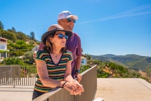 ポルト発：ドウロバレーのワインツアー（ランチ＆リバークルーズ付き）