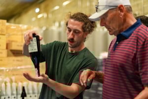 ポルト発：ドウロバレーのワインツアー（ランチ＆リバークルーズ付き）