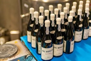 ポルト発：ドウロバレーのワインツアー（ランチ＆リバークルーズ付き）