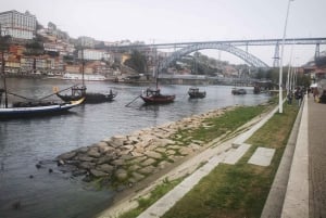 Tour privato di un'intera giornata da Lisbona a Porto