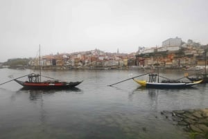 Tour privato di un'intera giornata da Lisbona a Porto