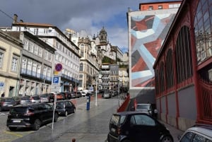 Tour privato di un'intera giornata da Lisbona a Porto