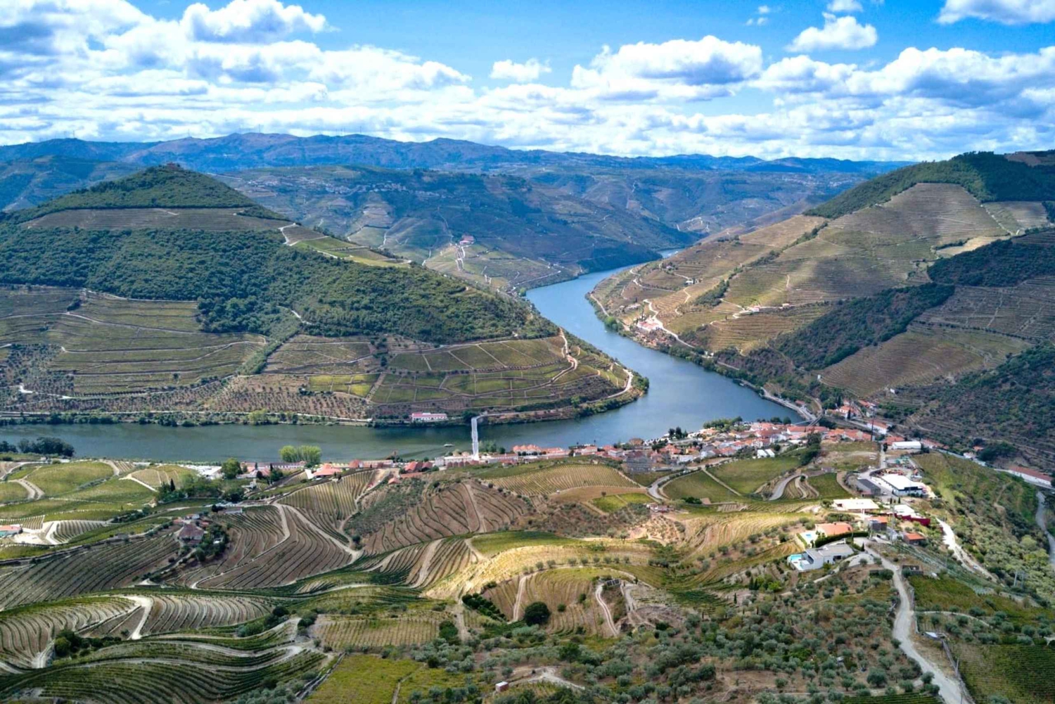 Äkta Douro-dalen: 2 vingårdar, lunch och flodkryssning