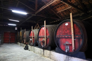 Äkta Douro-dalen: 2 vingårdar, lunch och flodkryssning