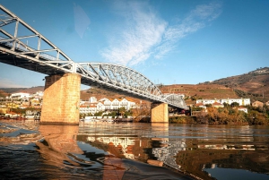 Äkta Douro-dalen: 2 vingårdar, lunch och flodkryssning