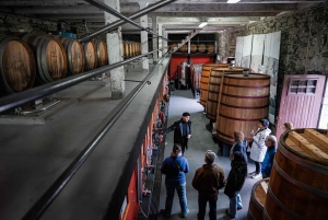 Äkta Douro-dalen: 2 vingårdar, lunch och flodkryssning