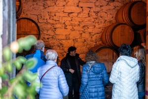 Äkta Douro-dalen: 2 vingårdar, lunch och flodkryssning