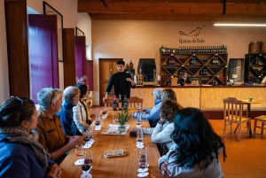 Äkta Douro-dalen: 2 vingårdar, lunch och flodkryssning