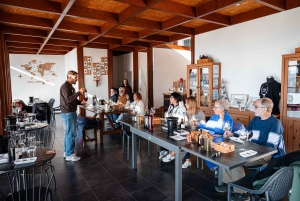 Äkta Douro-dalen: 2 vingårdar, lunch och flodkryssning