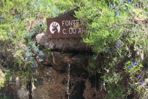 Gerês Nationaal Park Watervallen en wolvendorp in 4x4