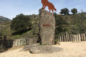 Gerês National Park Waterfalls and wolf village in 4x4