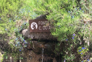 Gerês National Park Waterfalls and wolf village in 4x4