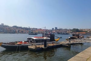 Tour a piedi della città invincibile di Porto