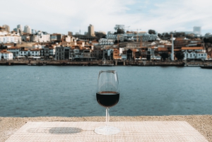 Lisbonne : excursion privée d'une journée à Porto avec dégustation de vins