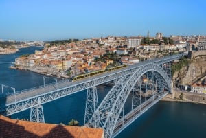 Lisbonne : excursion privée d'une journée à Porto avec dégustation de vins