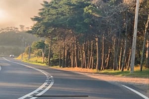 Lisbon: Porto Private transfer visiting Nazare and Obidos