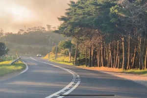 Lissabon: Privater Transfer nach Nazaré und Óbidos