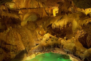 Lissabon: Privat overførsel til Porto med Aveiro & Fatima Tour