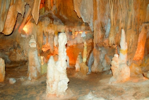 Lissabon: Privat overførsel til Porto med Aveiro & Fatima Tour