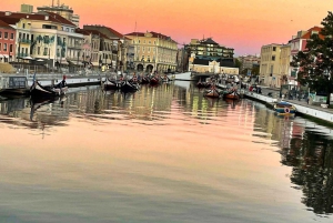 Lisbonne : Transfert privé vers Porto avec arrêts dans 3 villes