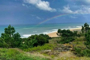 Lisbonne : Transfert privé vers Porto avec arrêts dans 3 villes