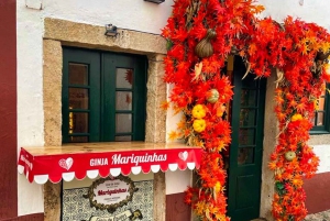 Lisbonne : Transfert privé vers Porto avec arrêts dans 3 villes