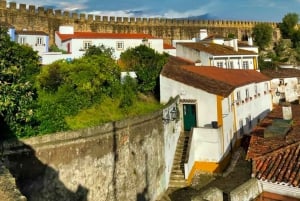 Lisbonne : Transfert privé vers Porto avec arrêts dans 3 villes