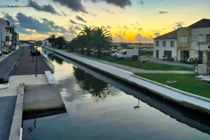 Lisbonne : Transfert privé vers Porto avec arrêts dans 3 villes