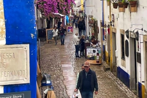Lisbonne : Transfert privé vers Porto avec arrêts dans 3 villes
